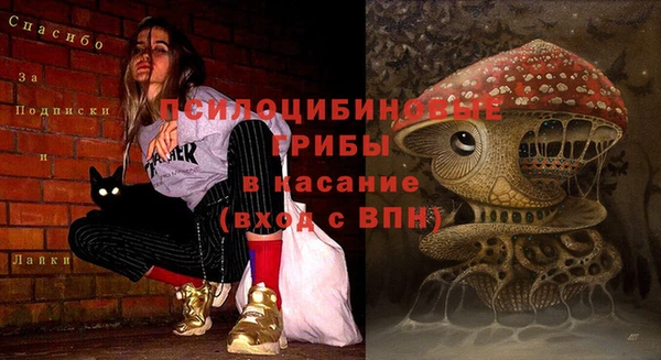 меф Горняк