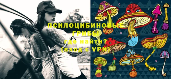 не бодяженный Горно-Алтайск