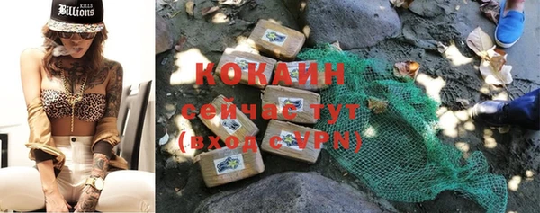не бодяженный Горно-Алтайск