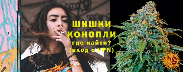 не бодяженный Горно-Алтайск