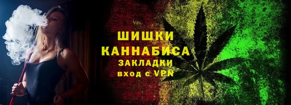 не бодяженный Горно-Алтайск
