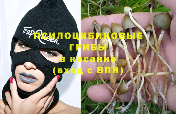 спайс Горнозаводск