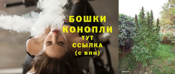 меф Горняк