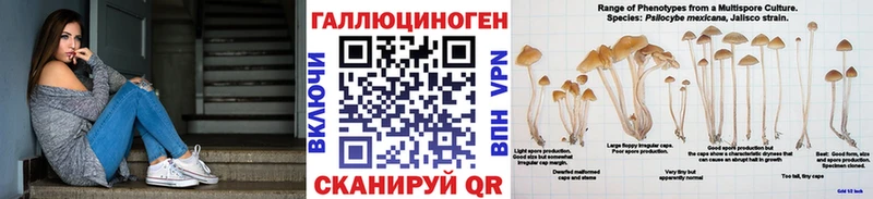 Псилоцибиновые грибы ЛСД Спасск-Рязанский